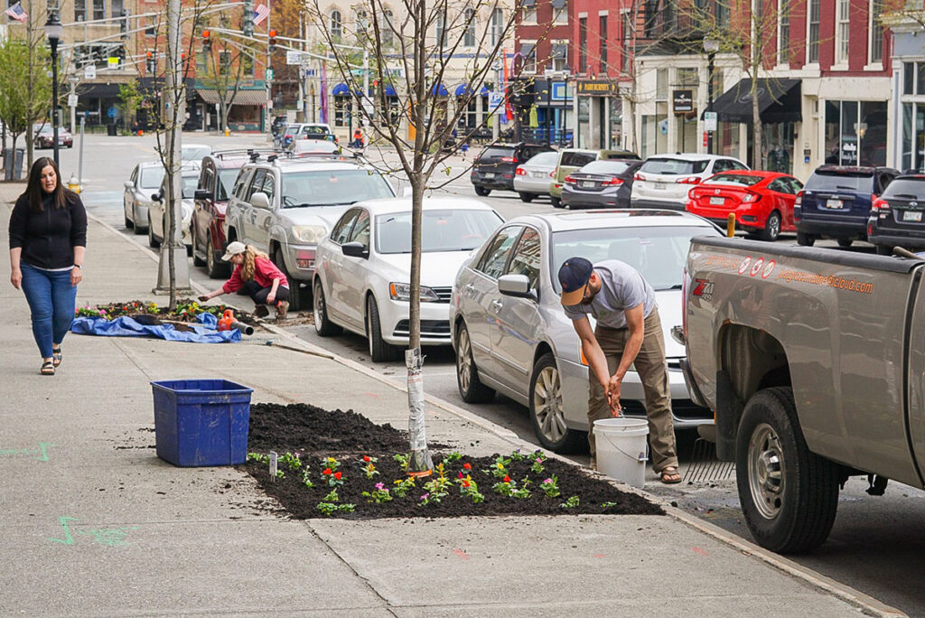 Workers planting flowers beside trees on the sidewalk.