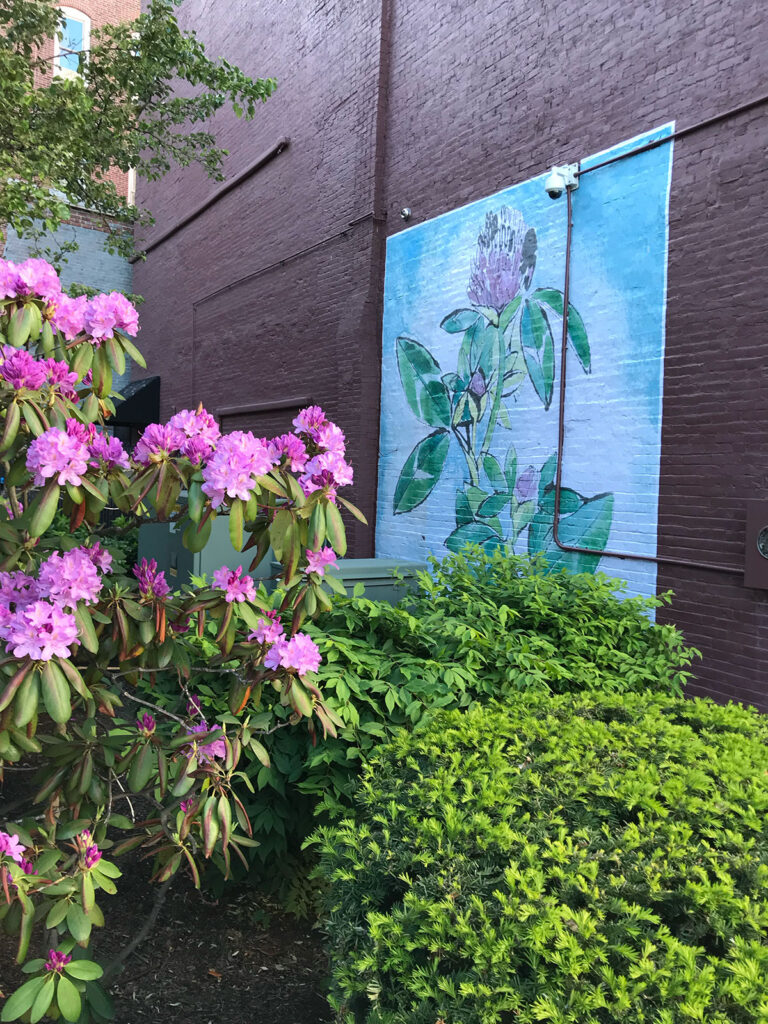 A mural of chive flowers