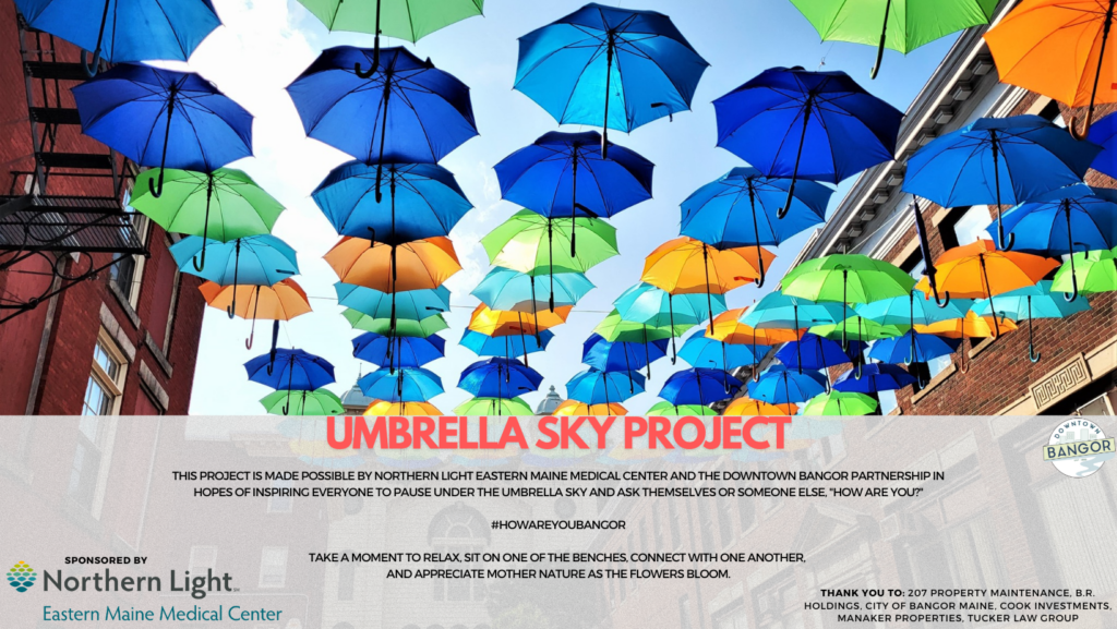 UMBRELLA SKY WEBSITE HEADER