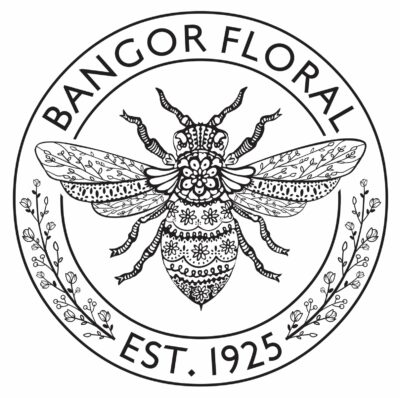 IMG 0589 e1713017140845