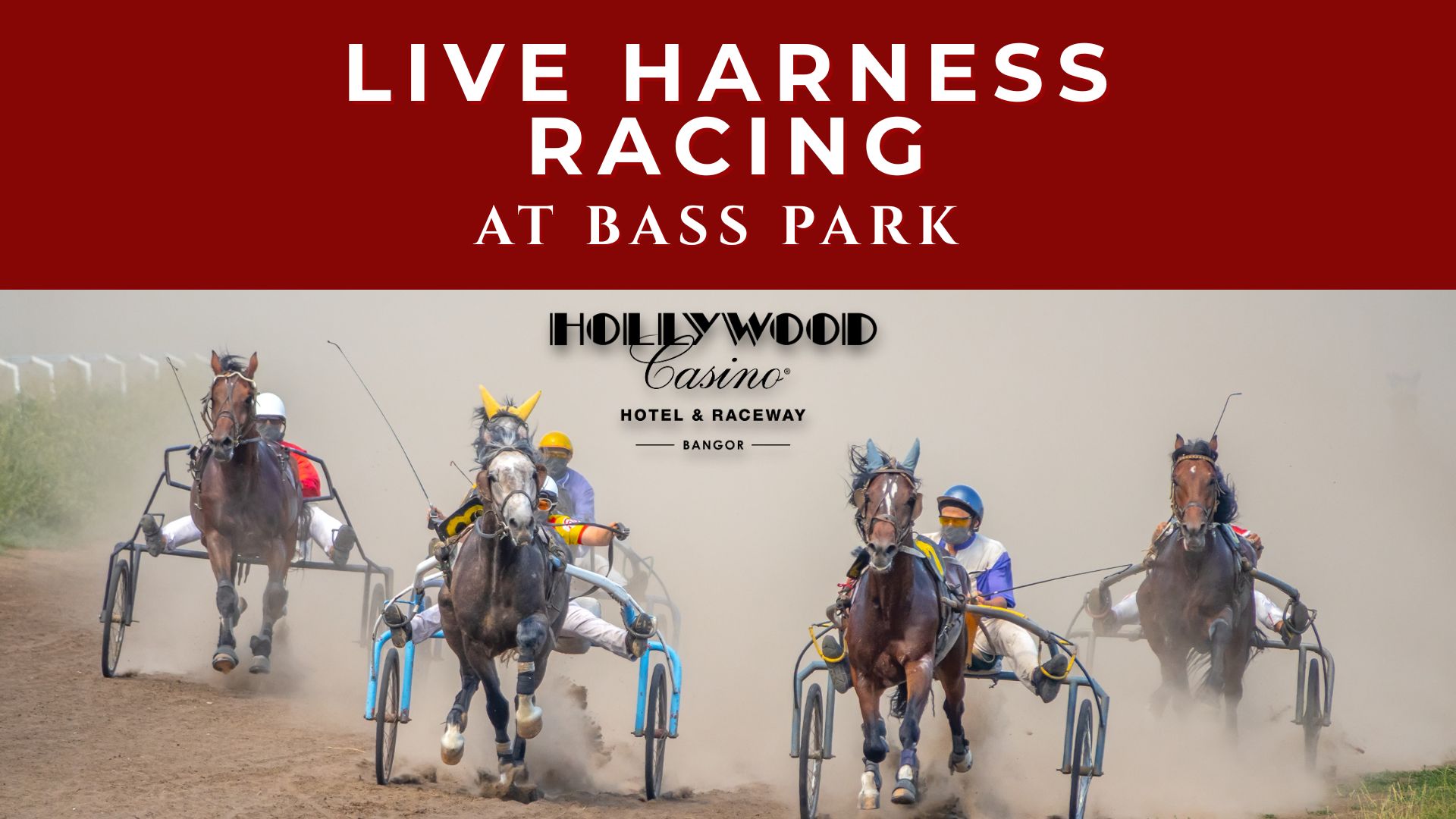 Live Harness Racing